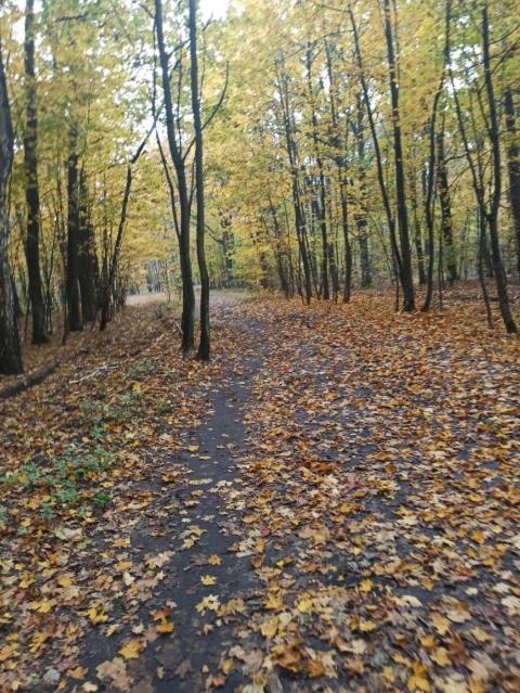 Stary Toruń银色高速公路旅馆住宿加早餐旅馆 外观 照片